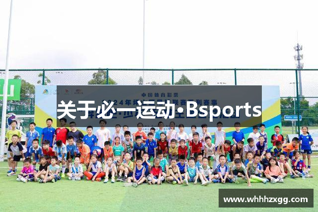 关于必一运动·Bsports